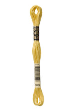 Load image into Gallery viewer, Stranded Cotton - No. 801 - 3863