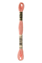 Load image into Gallery viewer, Stranded Cotton - No. 801 - 3863