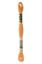 Load image into Gallery viewer, Stranded Cotton - No. 801 - 3863
