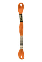 Load image into Gallery viewer, Stranded Cotton - No. 801 - 3863