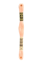 Load image into Gallery viewer, DMC Stranded Cotton Thread: Shade Numbers 19-35