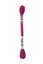 Load image into Gallery viewer, DMC Colour Variations Stranded Thread