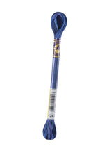 Load image into Gallery viewer, DMC Colour Variations Stranded Thread