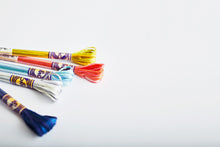 Load image into Gallery viewer, DMC Colour Variations Stranded Thread