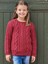 Load image into Gallery viewer, Hayfield 16 Favourite Aran Knits Book 527