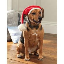 Load image into Gallery viewer, SIRDAR CHRISTMAS SELECTION BOOK TO KNIT & CROCHET - BOOK NO. 554