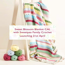 Load image into Gallery viewer, Sweet Blossom Blanket CAL yarn pack: (Hayfield Bonus DK)
