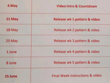 Load image into Gallery viewer, Sirdar Day Tripper Picnic Blanket Crochet Along Yarn Pack: Hayfield Bonus DK