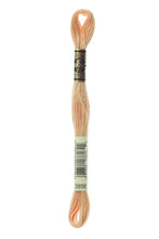 Load image into Gallery viewer, Stranded Cotton - No. 801 - 3863
