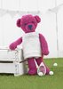 Load image into Gallery viewer, Sirdar The Bear Book 2: Book 512 by Sue Jobson
