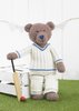 Load image into Gallery viewer, Sirdar The Bear Book 2: Book 512 by Sue Jobson
