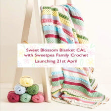 Load image into Gallery viewer, Sweet Blossom Blanket CAL yarn pack: Hayfield Bonus DK (Alternative colour combination)
